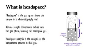 headspace gas analyzers|headspace gc vs normal.